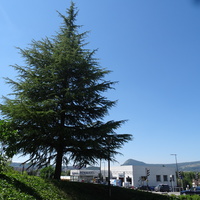 Cran-Gevrier 2018 France