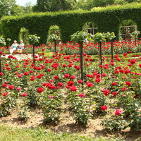 Сад Резиденции