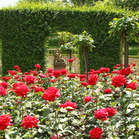 Сад Резиденции