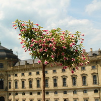 Сад Резиденции