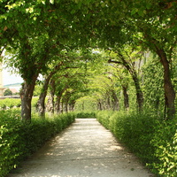 Сад Резиденции