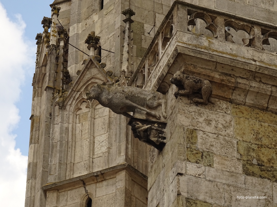 Собор Святого Петра