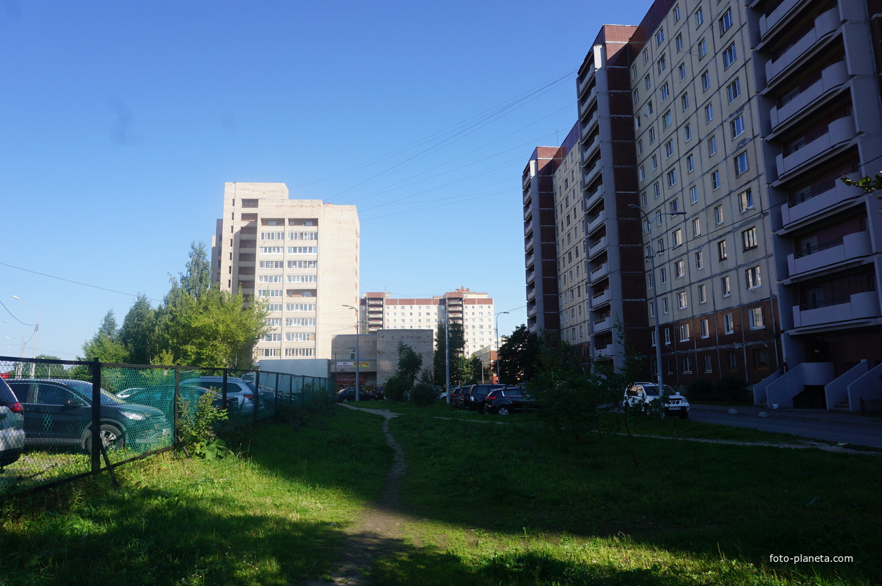 Рыбацкий проспект.