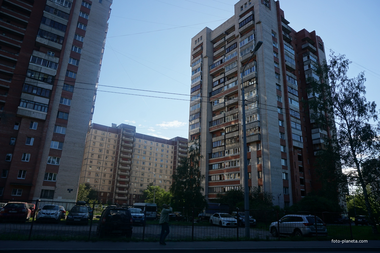 Рыбацкий проспект.