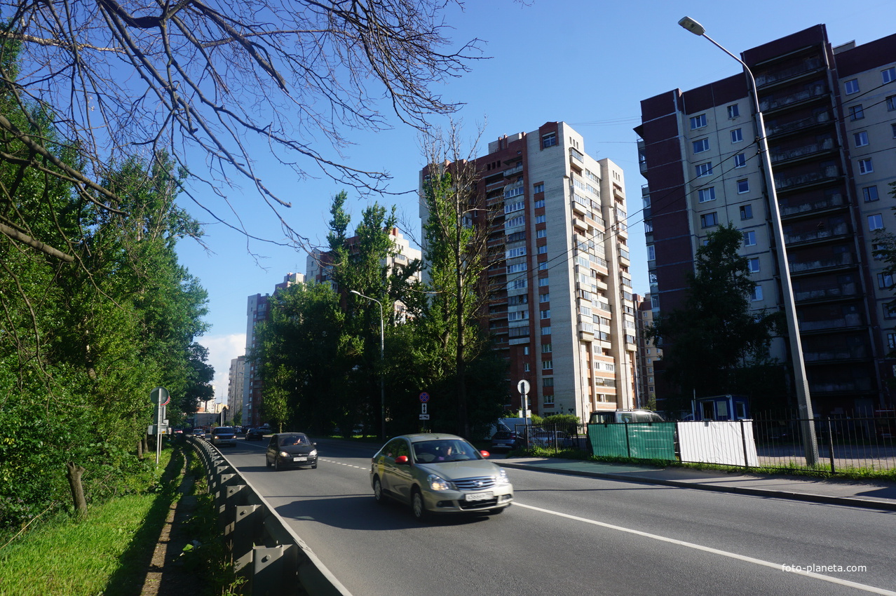 Рыбацкий проспект.