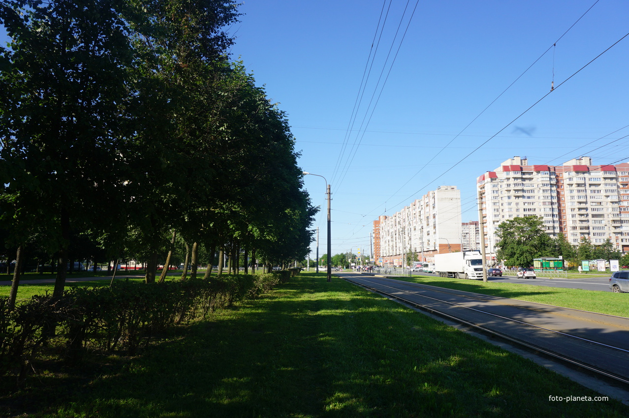 Прибрежная улица.