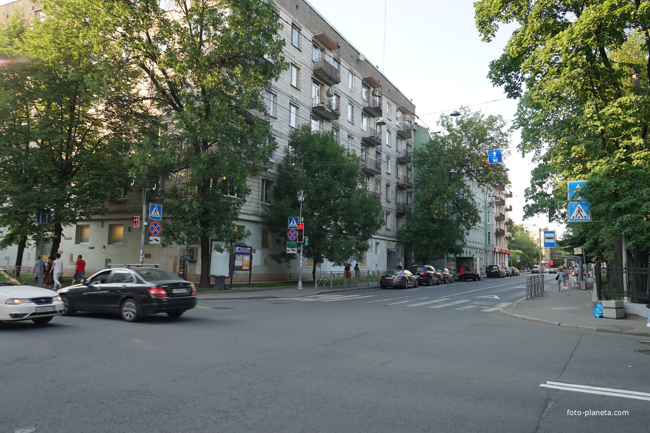 Большая Пушкарская улица.