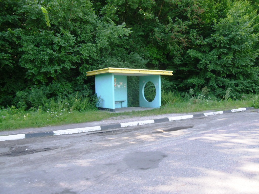 Автобусна зупинка біля траси Черкаси-Канів.