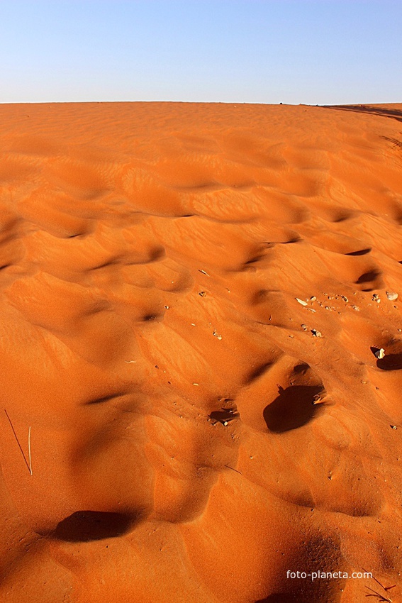 Рас эль-Хайма. Красные пески.