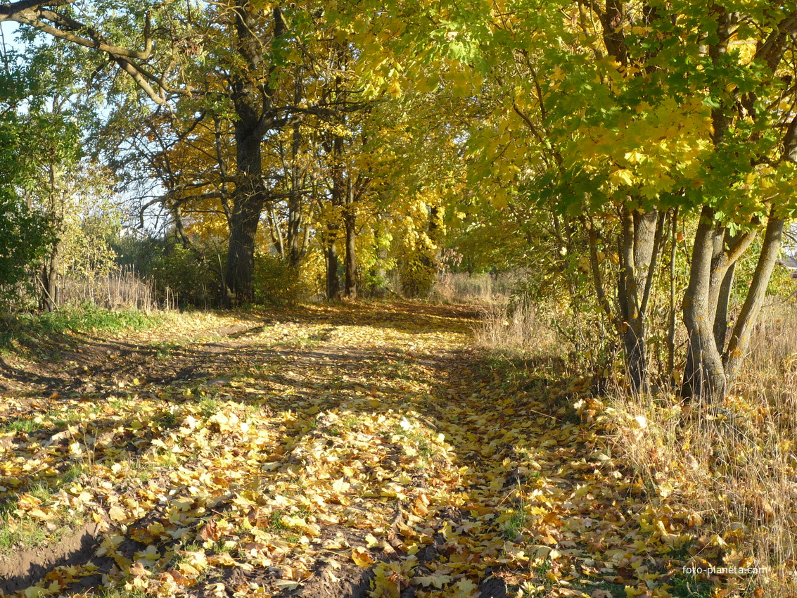 Осень в деревне Милодеж