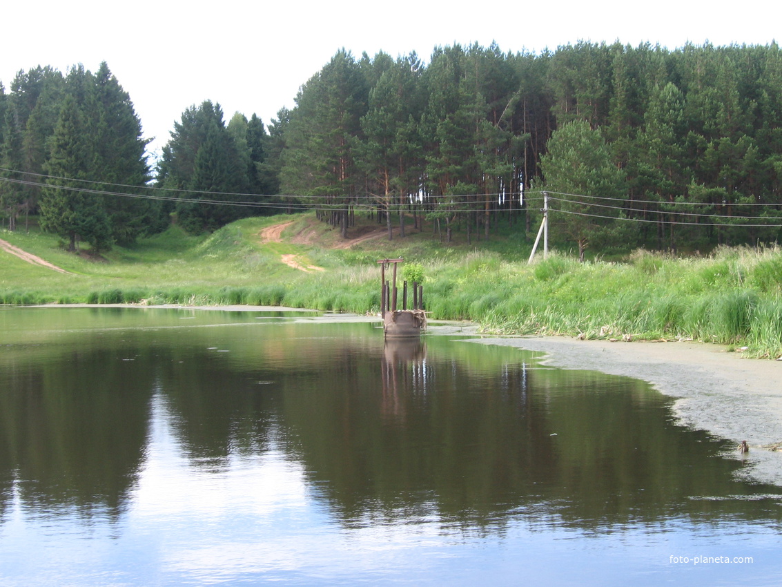 пруд