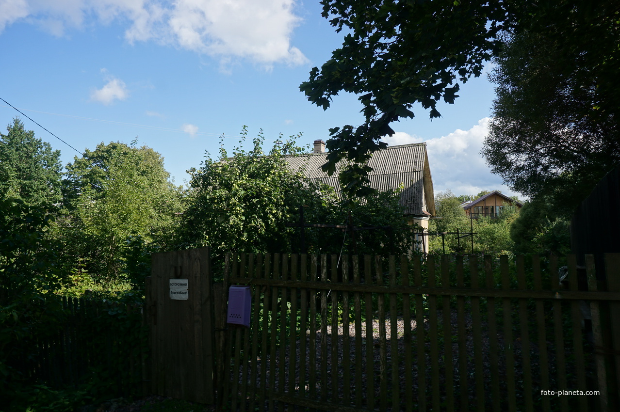 Мартышкино.Улица Некрасова.