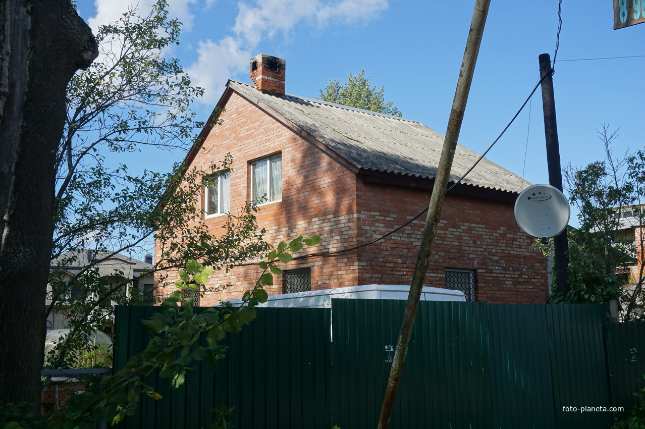 Мартышкино.Улица Связи.