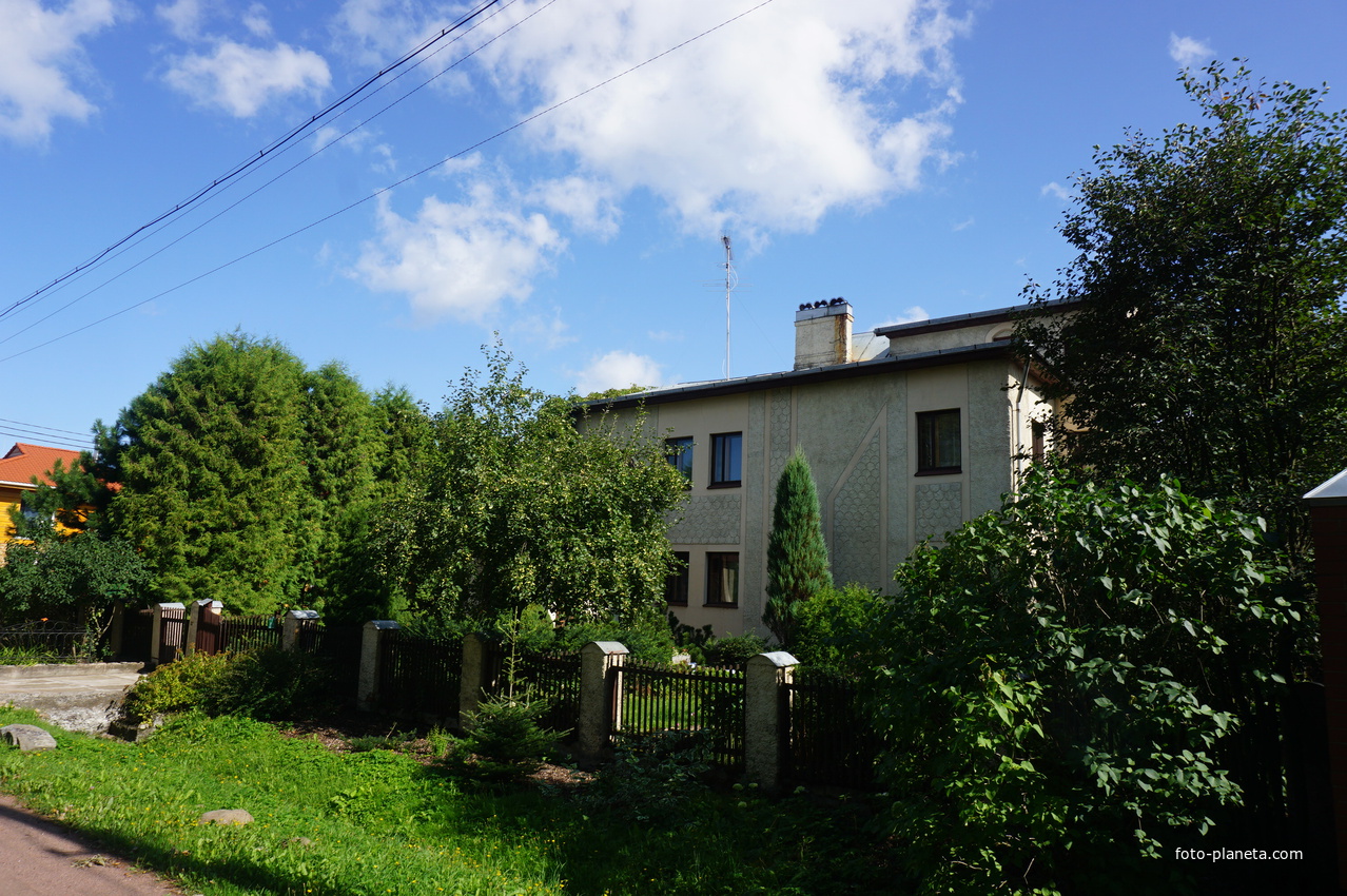 Мартышкино.Улица Связи.