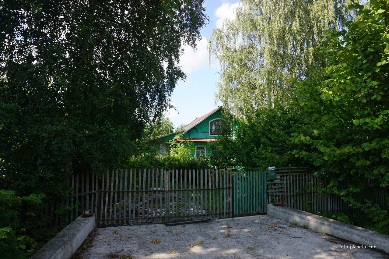 Мартышкино. Лесная улица.