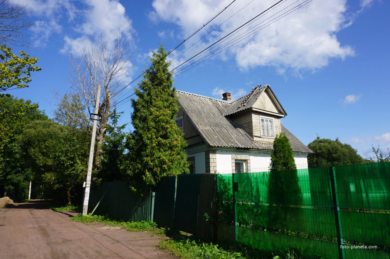 Мартышкино. Лесная улица.