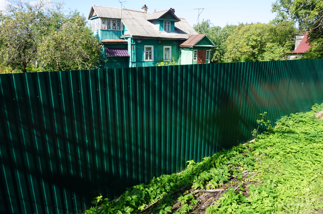 Мартышкино. Лесная улица.