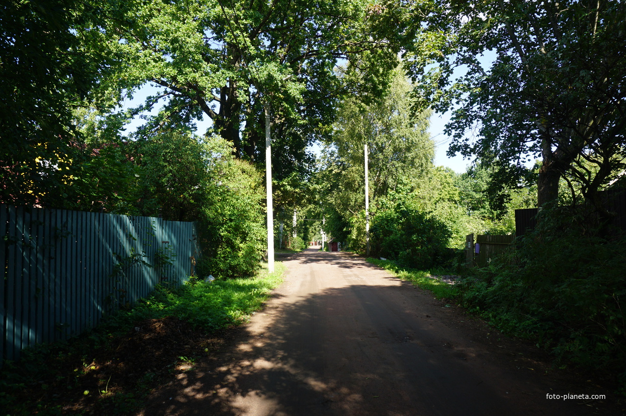 Мартышкино. Лесная улица.