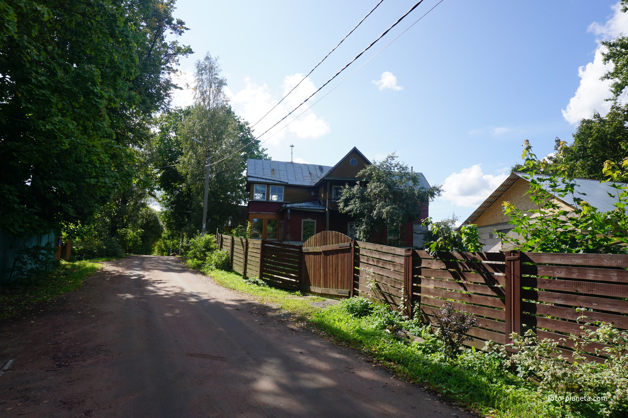 Мартышкино. Лесная улица.