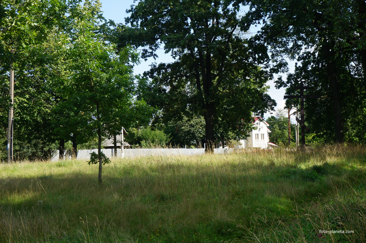 Мартышкино.Улица Репина.