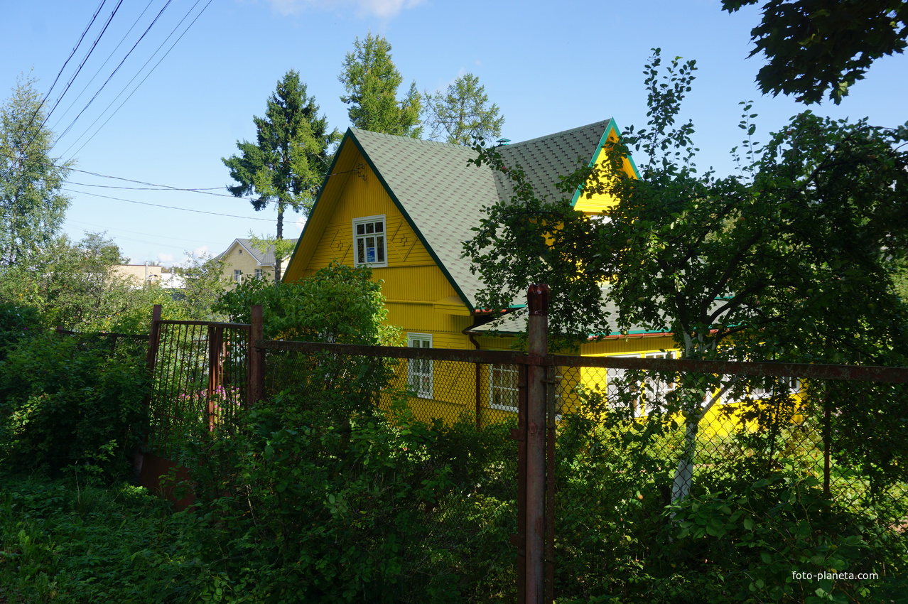 Мартышкино. Лесная улица.