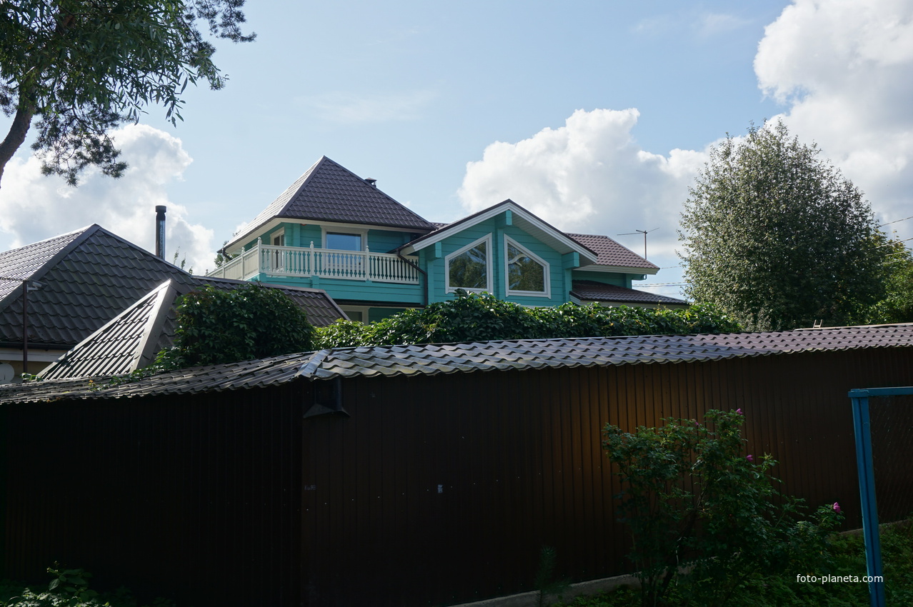 Мартышкино. Лесная улица.