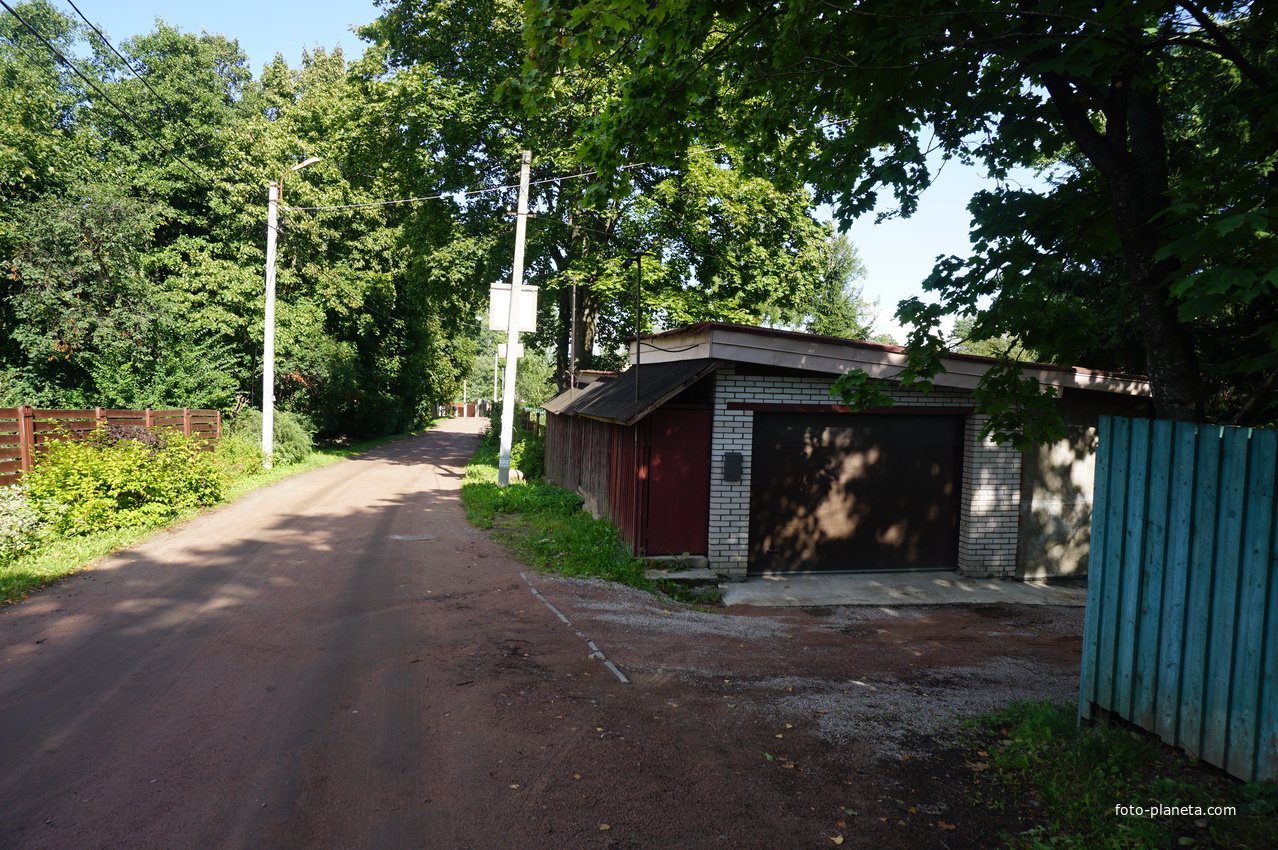 Мартышкино.На улице Садовой.