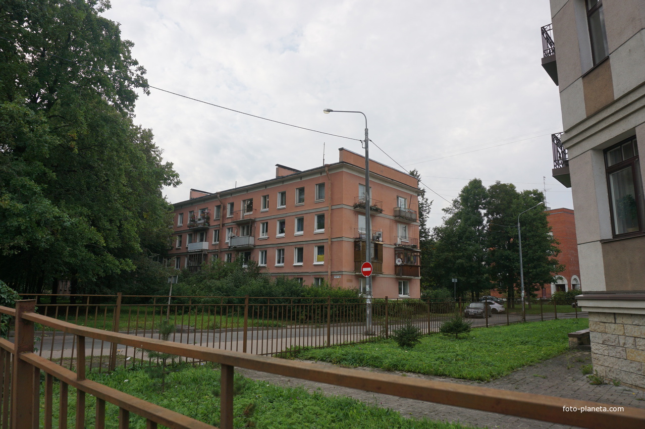 Павловск.Берёзовая улица.