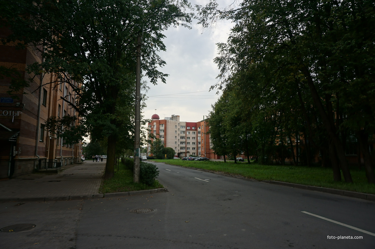 Павловск.Медвежий переулок.