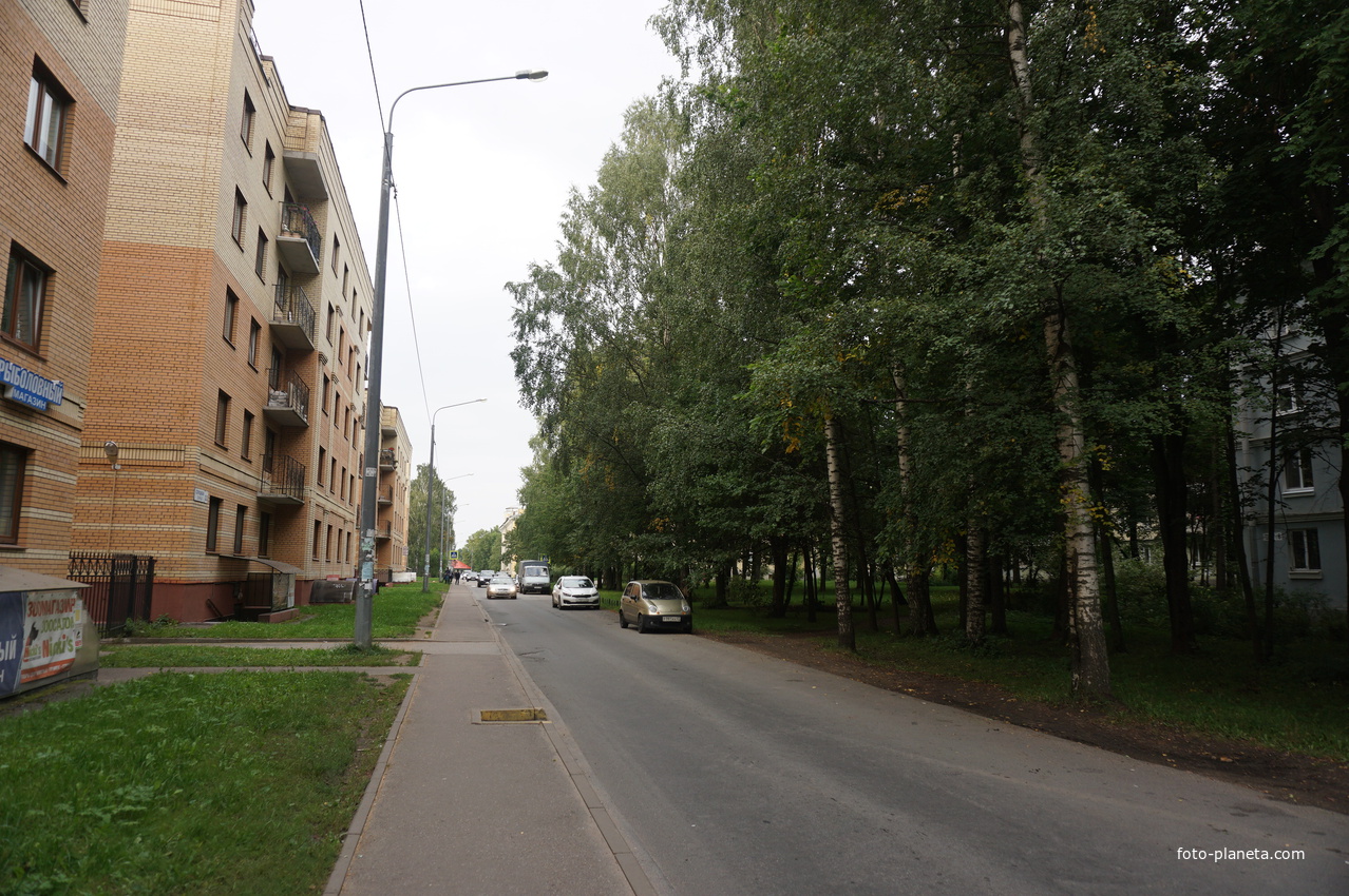 Павловск.Улица Слуцкая.ЖК Павловский.