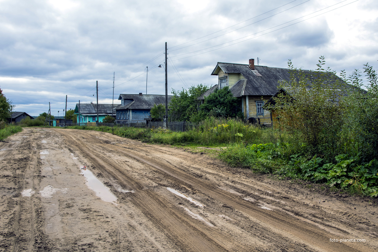 Улица в деревне Заборщина Мурашинского района