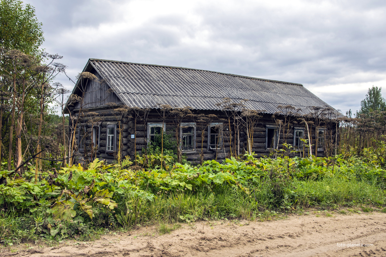 Дом в деревне Заборщина Мурашинского района