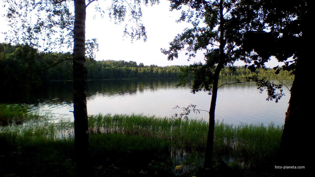 Село Владимирское - Озеро Светлояр