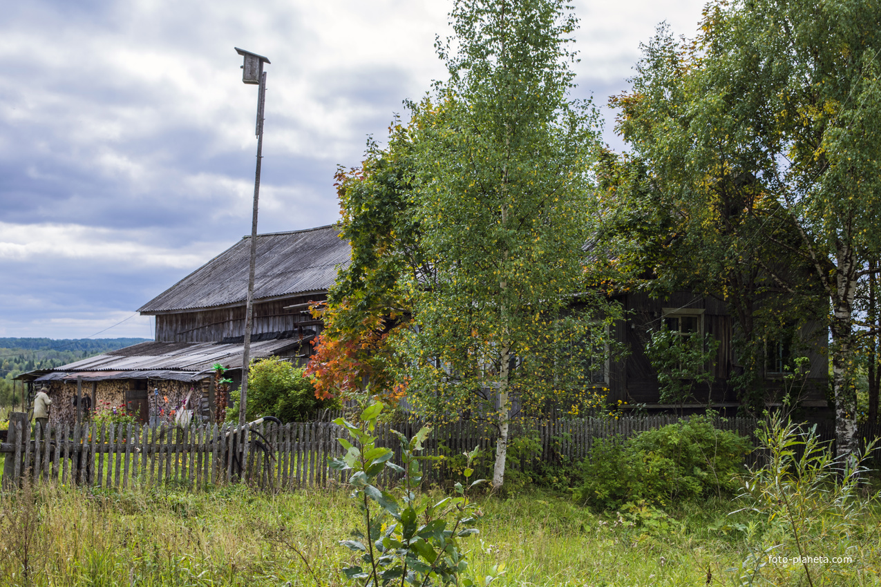 Дом в деревне Пермята Мурашинского района
