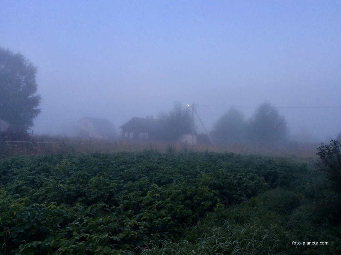 Утро туманное.д Аким