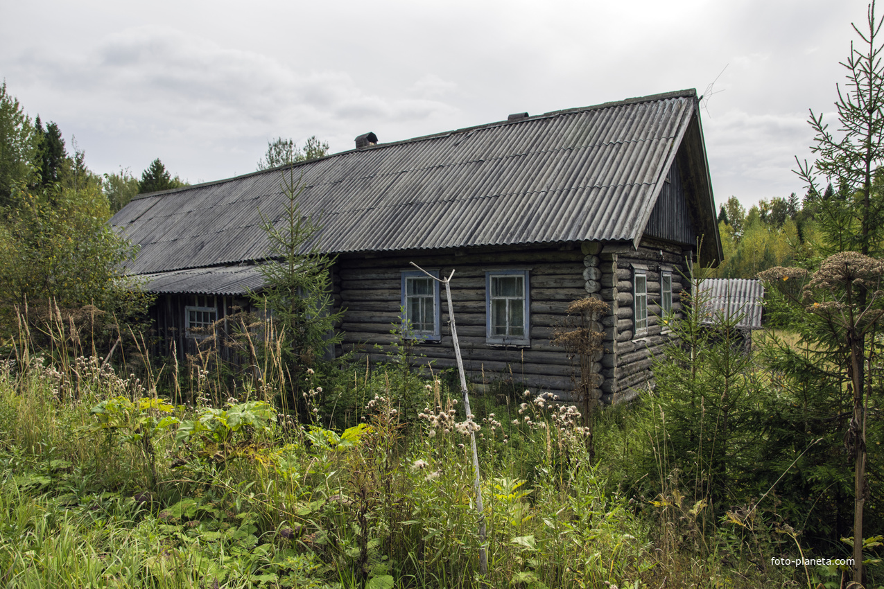 Заброшенный дом в с. Алексеевское Мурашинского района