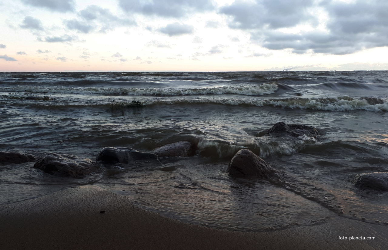 Финский залив