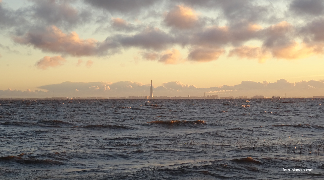 Финский залив