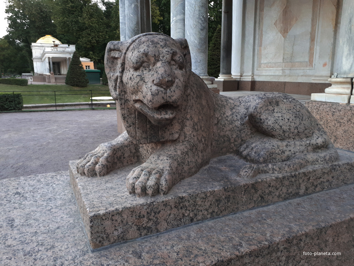 Скульптура льва у Воронихинской колоннады
