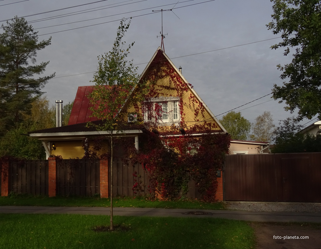 Дом на улице Нововестинской