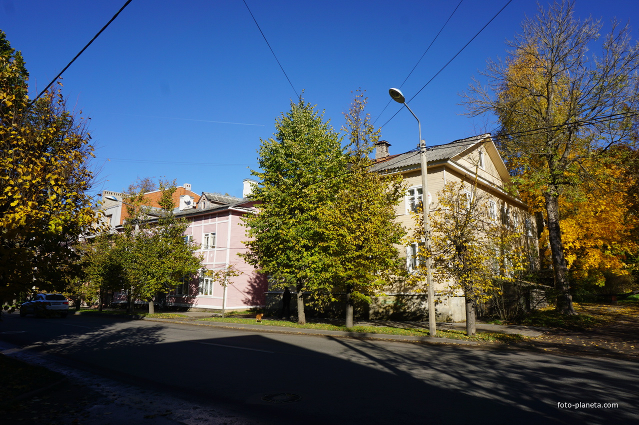 На улице Чкалова.