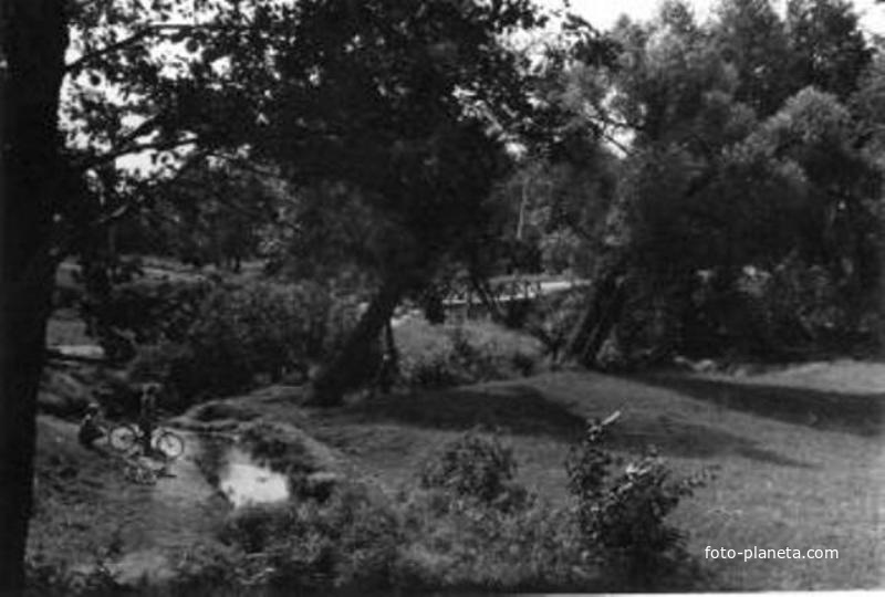 салтыковка.1967г.ручей  из серебряного пруда при впадении в желтый пруд