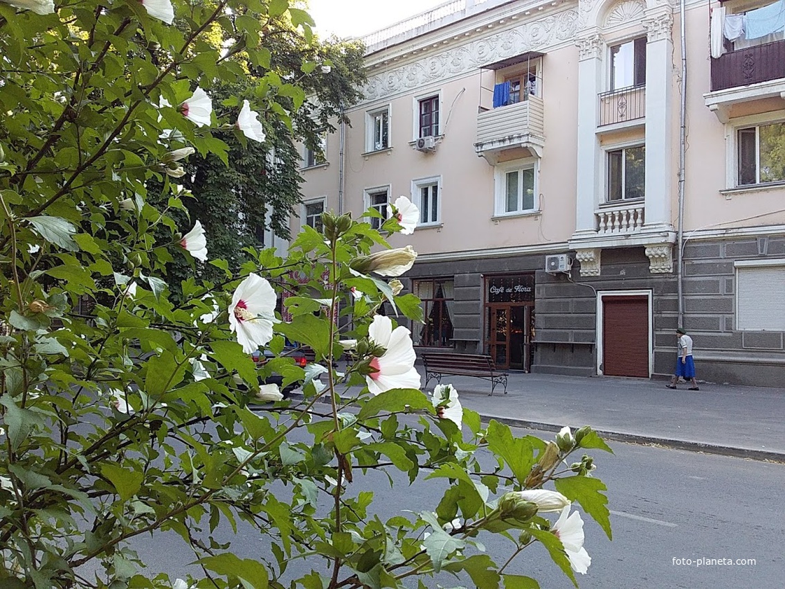 город Измаил, проспект Суворова