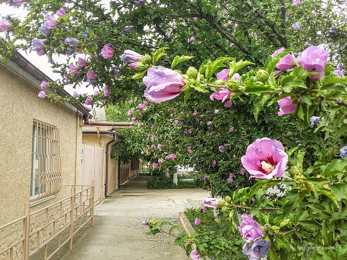 город Измаил, улица Белгород Днетровская