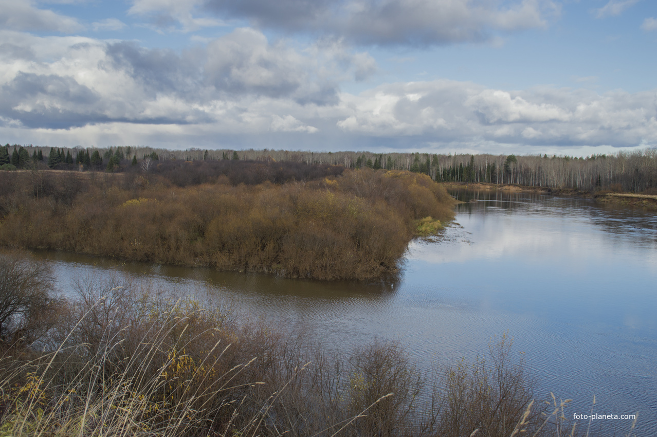 Вид на реку Молому из с. Курино Котельничского района Кировской области