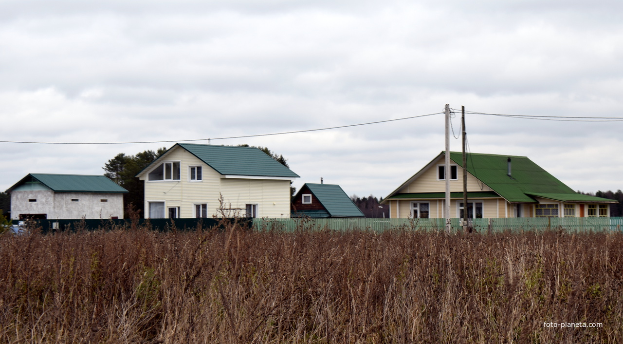 Вид на деревню Подгорена Слободского района Кировской области