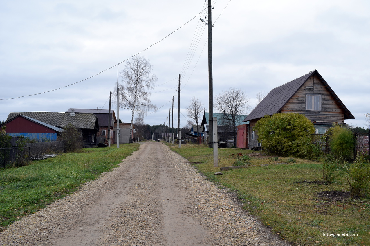 Улица в деревне Вотское Слободского района