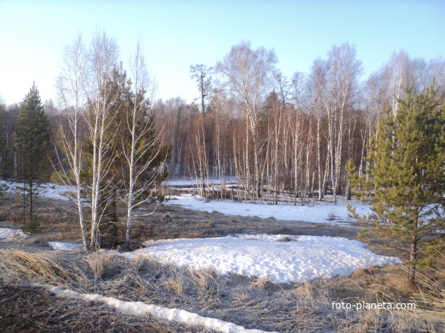 2010 год,возле дороги на Барлук