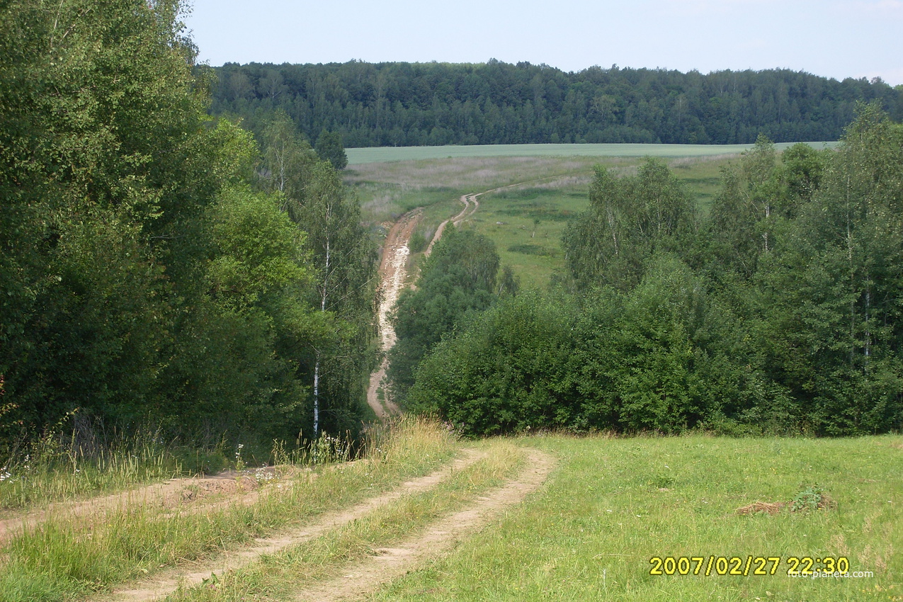 Дорога к деревне Новое Русаново