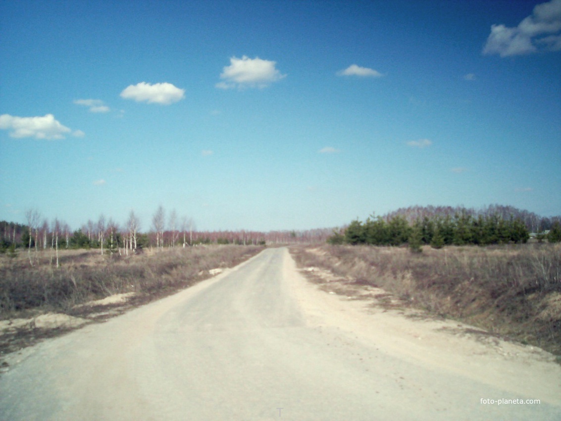 Новая дорога в д. Зевнево